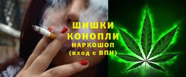 PSILOCYBIN Волосово