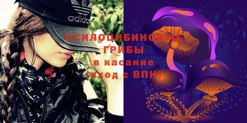 Псилоцибиновые грибы MAGIC MUSHROOMS  Полтавская 